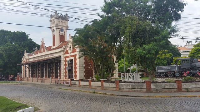 From Rio de Janeiro: 1-Day Private Tour of Coffee Valley