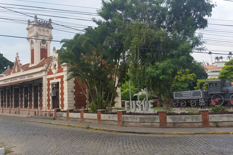 Från Rio de Janeiro: Privat dagstur till Kaffedalen