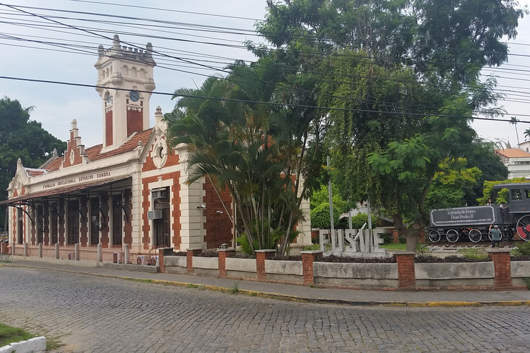 Från Rio de Janeiro: Privat dagstur till Kaffedalen