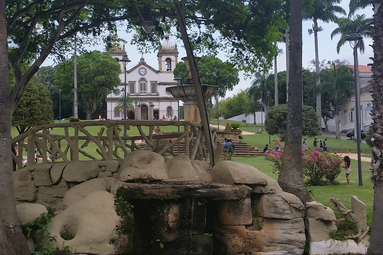 Von Rio de Janeiro: 1-tägige private Tour durch das Kaffeetal