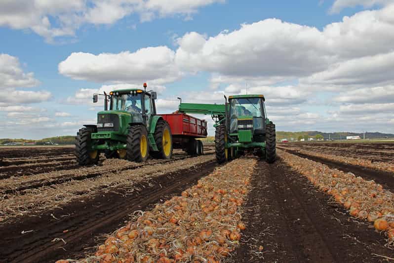 Between Parry Sound & Toronto Smartphone Audio Driving Tour GetYourGuide