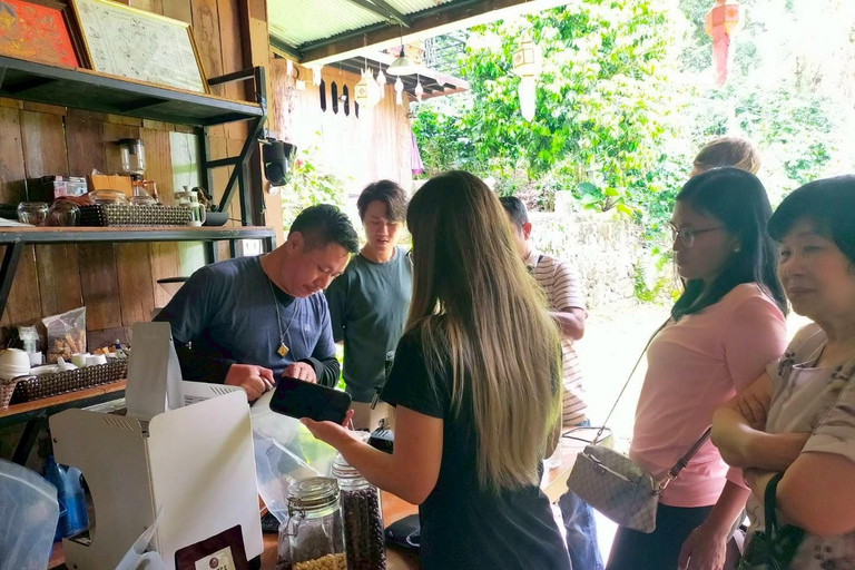 Chiang Mai: Thepsadet Village Coffee Tour with Transfer