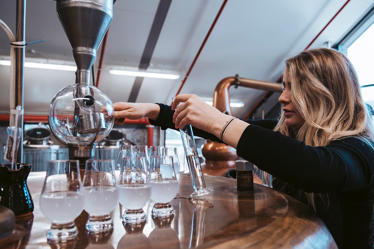 From Queenstown: Guided Gin Tour with Tastings