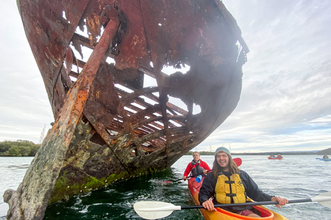 Excursion en kayak au sanctuaire des dauphins et au cimetière des navires