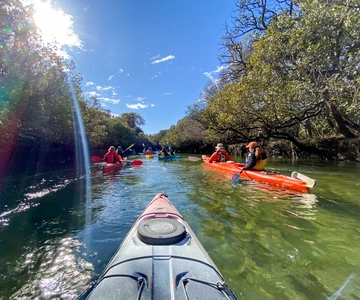 Dolphin Sanctuary and Ships Graveyard Kayak Tour