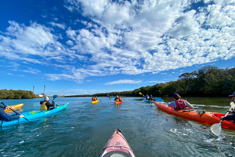 Dolphin Sanctuary en Ships Graveyard Kayak Tour