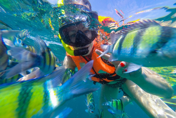 Da Phuket: Snorkeling a Phi Phi e Maya Bay in motoscafo