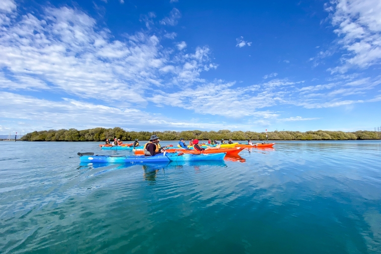 Adelaide: Dolphin Sanctuary Kayaking Tour