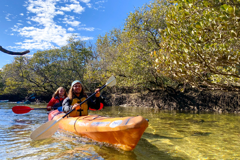 Adélaïde: excursion en kayak dans le sanctuaire des dauphins