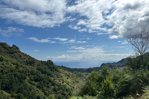 Madeira: Levada Wandeling en Santo da Serra Markt Tour