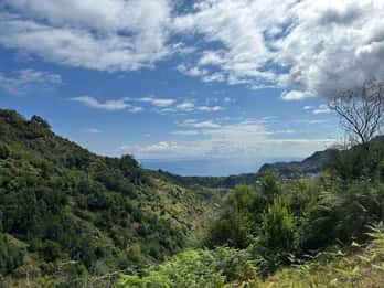 Madeira: Levada Walk and Santo da Serra Market Tour