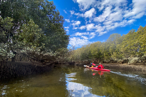 Adelaide: Dolphin Sanctuary 1 or 2-Person Kayak Rental2-Person Kayak Rental