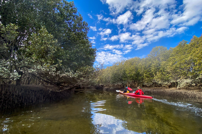 Adelaide: 2-Person Kayak Rental in the Dolphin Sanctuary