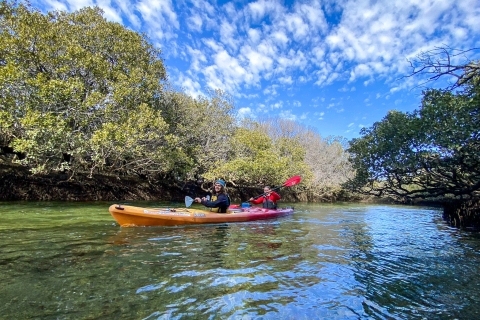 Adélaïde : location de kayak pour 2 personnes dans le sanctuaire des dauphins