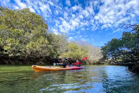 Adelaide: Dolphin Sanctuary 1 or 2-Person Kayak Rental