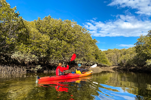 Adelaide: noleggio kayak per 1 o 2 persone Dolphin SanctuaryNoleggio Kayak per 2 Persone