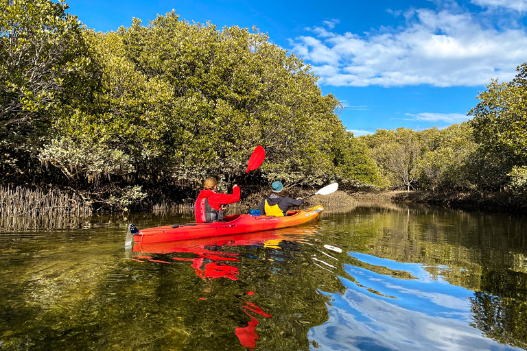 Adélaïde : location de kayak pour 2 personnes dans le sanctuaire des dauphins