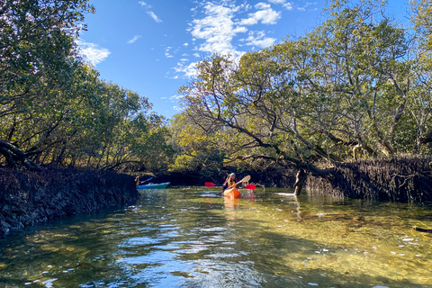 Adelaide: Dolphin Sanctuary 1 or 2-Person Kayak Rental2-Person Kayak Rental