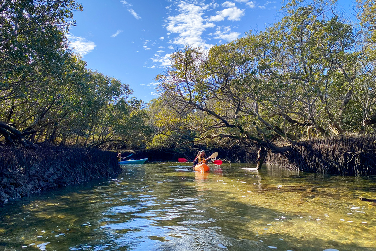 Adelaide: 2-Person Kayak Rental in the Dolphin Sanctuary