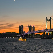 Busan: Group Sightseeing Yacht Cruise with Snacks and Drinks