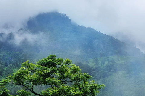 康提：兰博达瀑布和普纳瀑布，以及安布鲁瓦瓦天空塔日落康提：兰博达瀑布和普纳瀑布，以及安布卢瓦瓦天空塔日落之旅