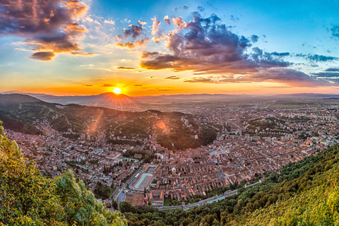 Bukarest: Siebenbürgen mit Dracula Castle & Bear Sanctuary