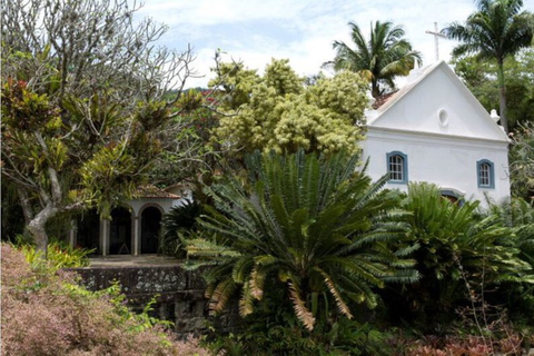 Rio de Janerio: excursion privée d&#039;une journée à Barra da Tijuca et Grumari