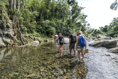 San Juan: tour combinato in kayak della foresta pluviale di El Yunque e della Bio Bay