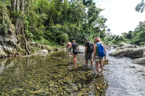 From San Juan: El Yunque Rainforest & Bio Bay Kayak Combo