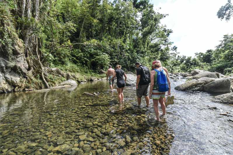 San El Yunque Rainforest & Bio Bay Kayak Combo Tour | GetYourGuide