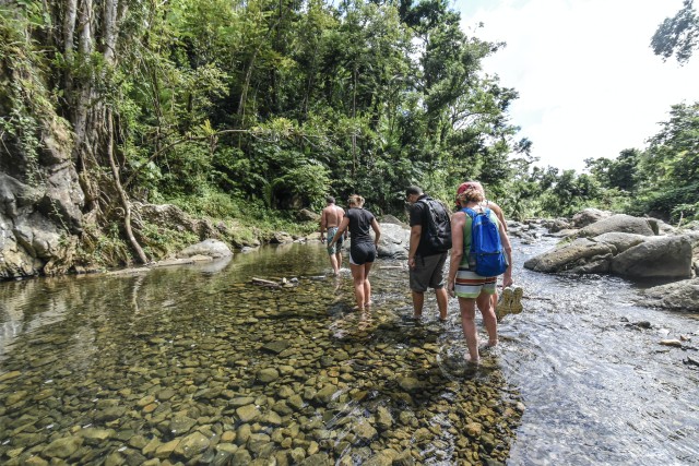 Visit San Juan El Yunque Rainforest & Bio Bay Kayak Combo Tour in San Juan