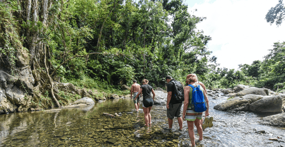 From San Juan: El Yunque Rainforest & Bio Bay Kayak Combo