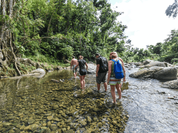 Fra San Juan: El Yunque-regnskogen og kajakkpadling i Bio Bay