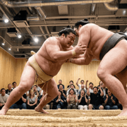 Kyoto: Sumo Show with Experience & Photo