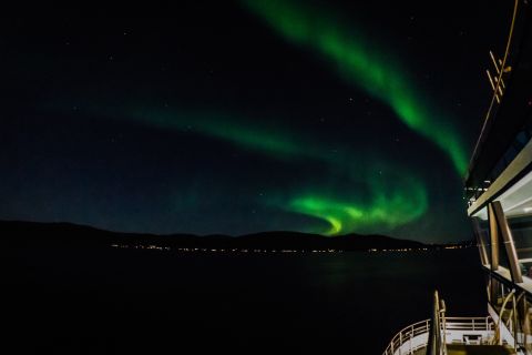Svolvær: Nordlicht-Kreuzfahrt auf den Lofoten & lokales Degustationsmenü