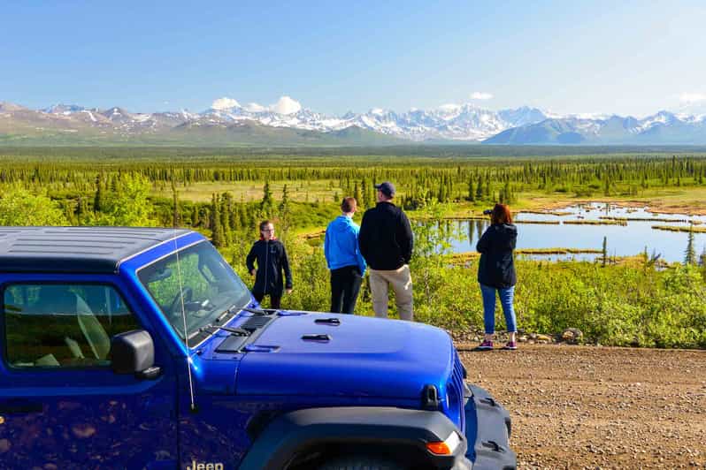 Denali National Park Jeep Rental GetYourGuide