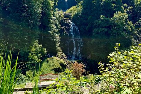 إنترلاكن: استكشف إيسلتوالد وجيسباخ بجولة بالدراجة الكهربائية