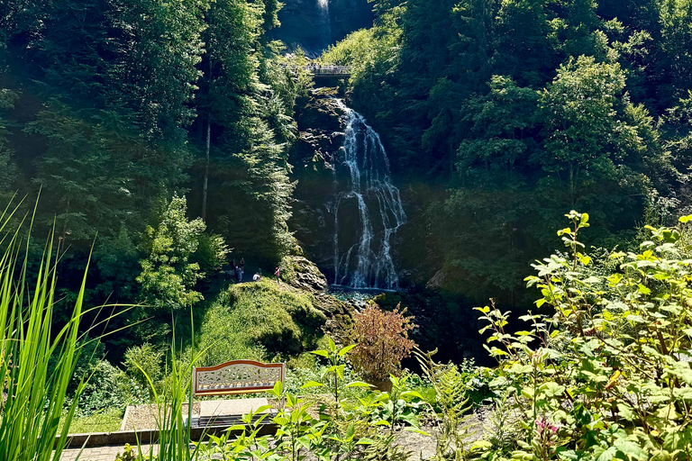 إنترلاكن: استكشف إيسلتوالد وجيسباخ بجولة بالدراجة الكهربائية