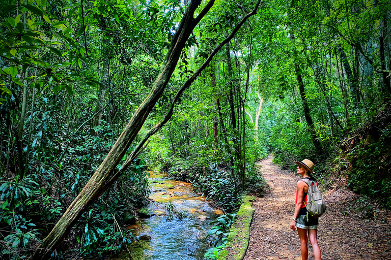 Rio de Janeiro Nature Secrets &#039;The Eco Citytour&#039;Rio Nature Secrets &#039;The Eco Citytour&#039; - small group (max. 6)