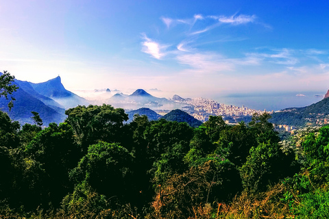 Rio de Janeiro Nature Secrets &#039;The Eco Citytour&#039;Rio Nature Secrets &#039;The Eco Citytour&#039; - small group (max. 6)