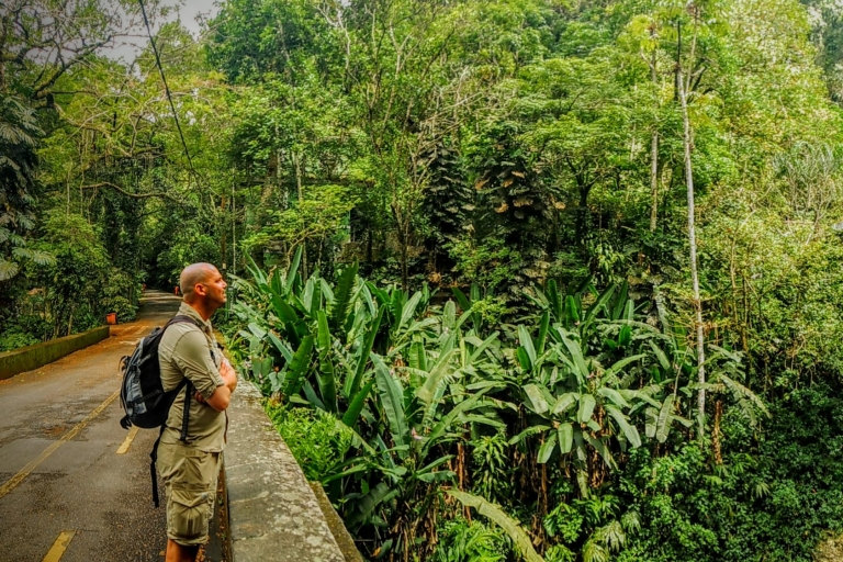 Aventura de 1 día en grupo reducido por el bosque de Tijuca