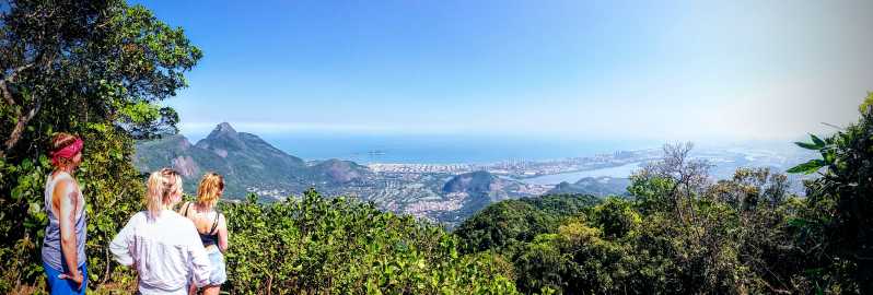 Rio de Janeiro: Tijuca Forest Challenge Hike Full-Day Trip