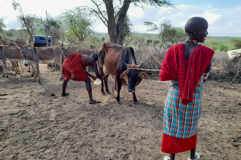 Desde Nairobi: tour de un día al pueblo Masai