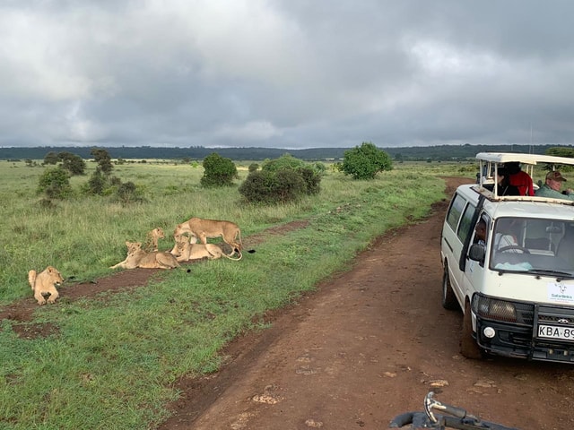 Nairobi National Park: Early Morning or Afternoon Game Drive