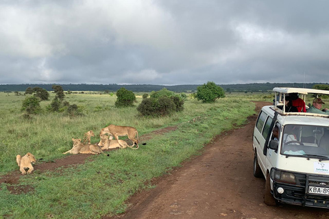 Parque Nacional de Nairobi: safari temprano por la mañana o por la tardeRecogida en el hotel desde Nairobi.