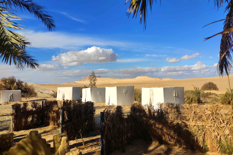 Desde El Cairo: recorrido de 3 días por el museo, el fuerte y el desierto en el oasis de Siwa