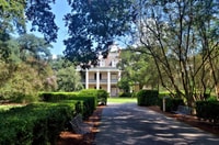 New Orleans, Oak Alley et Laura ou Whitney Plantation Tour Plantation - Housity