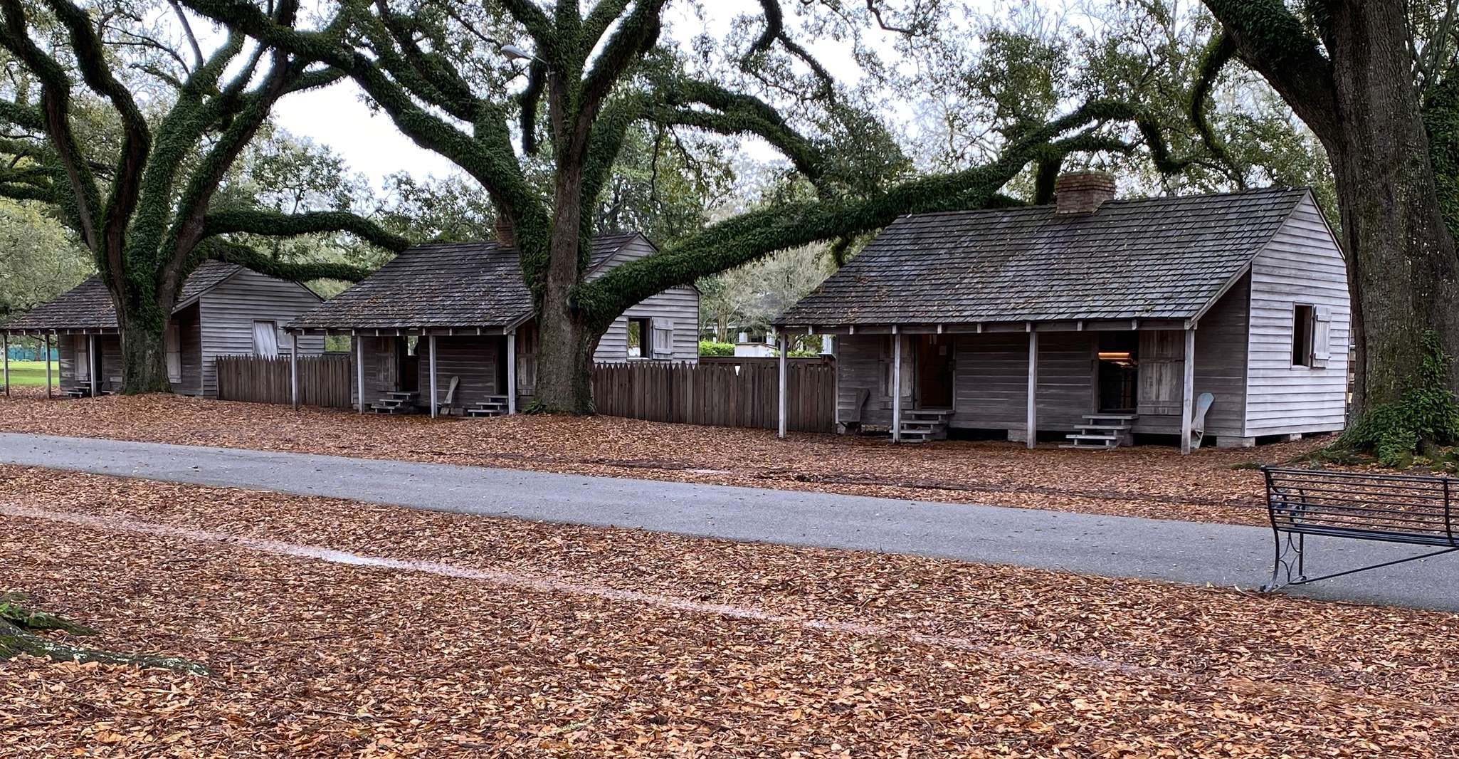 New Orleans, Oak Alley, & Laura or Whitney Plantation Tour - Housity