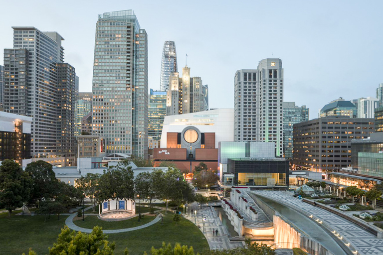 Toegangskaarten: San Francisco Museum of Modern Art (SFMOMA)Standaard optie