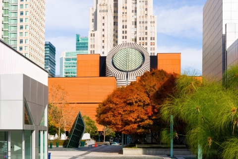 Toegangskaarten: San Francisco Museum of Modern Art (SFMOMA)Standaard optie